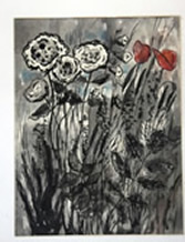 bild5