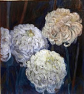 bild5