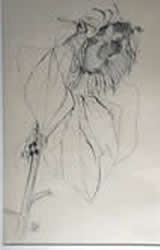 bild5